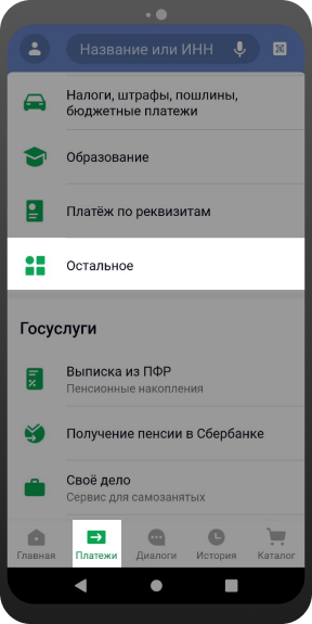 Перейдите в раздел «Платежи» и нажмите вкладку «Остальное»