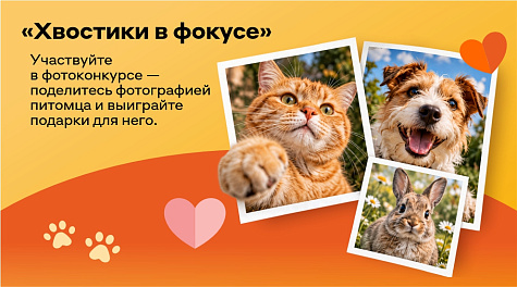Фотоконкурс "Хвостики в фокусе" Фотоконкурс "Хвостики в фокусе"
